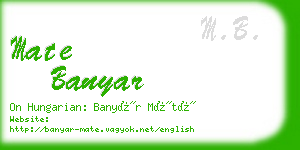 mate banyar business card